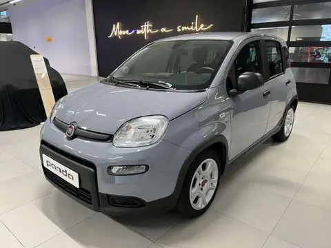 Annonce FIAT PANDA Essence 2023 d'occasion 