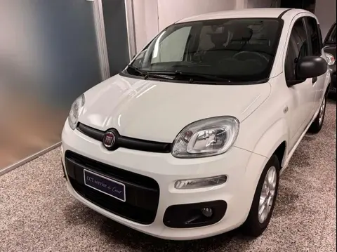 Annonce FIAT PANDA Essence 2017 d'occasion 