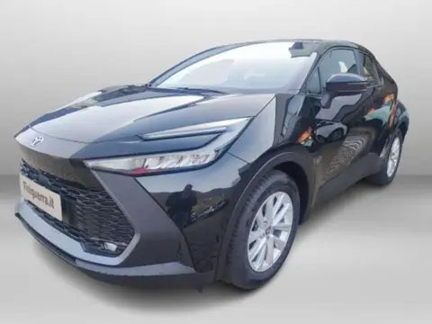 Used TOYOTA C-HR Hybrid 2024 Ad 