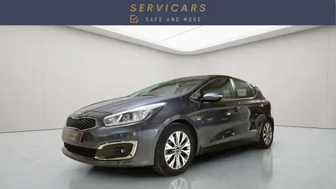 Used KIA CEED Diesel 2017 Ad Belgium