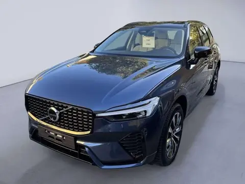 Annonce VOLVO XC60 Hybride 2024 d'occasion 