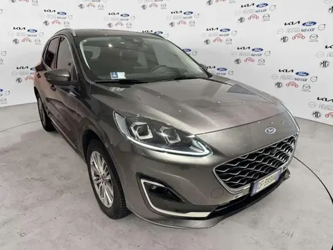 Used FORD KUGA Hybrid 2021 Ad 