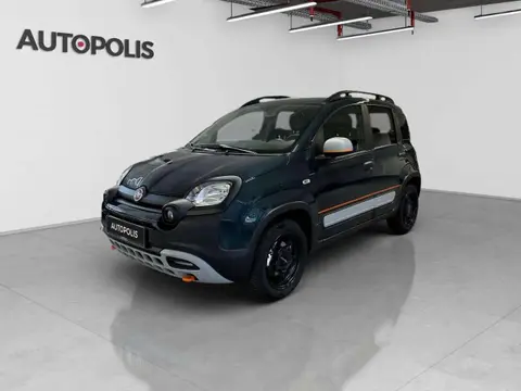 Annonce FIAT PANDA Diesel 2022 d'occasion 