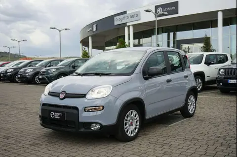 Used FIAT PANDA Hybrid 2022 Ad 