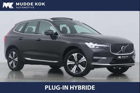 Used VOLVO XC60 Hybrid 2023 Ad 