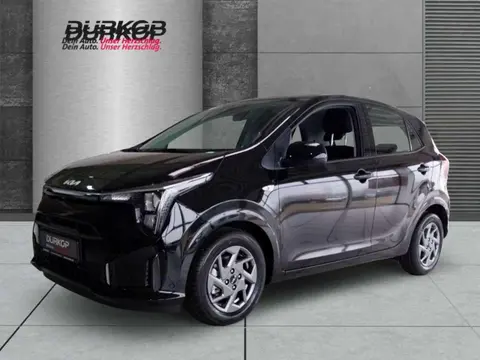 Used KIA PICANTO Petrol 2024 Ad 