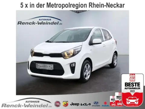 Annonce KIA PICANTO Essence 2024 d'occasion 