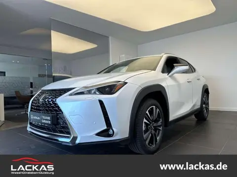 Used LEXUS UX Hybrid 2023 Ad 