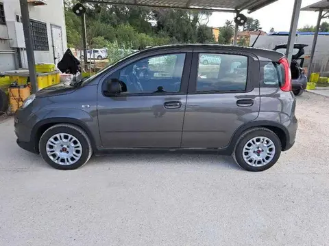 Used FIAT PANDA Hybrid 2023 Ad 