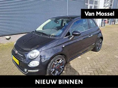 Used FIAT 500 Petrol 2019 Ad 