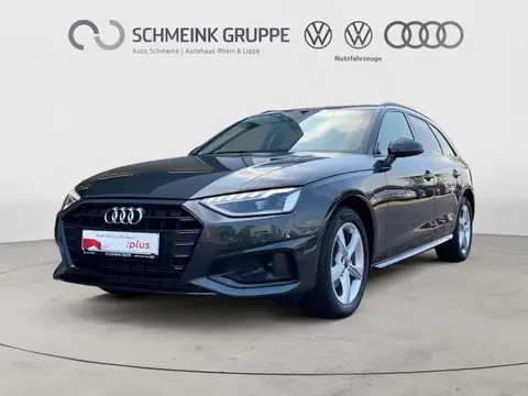 Annonce AUDI A4 Essence 2023 d'occasion 