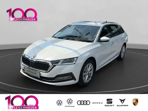 Used SKODA OCTAVIA Diesel 2023 Ad 