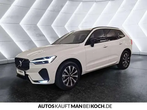 Annonce VOLVO XC60 Diesel 2023 d'occasion 