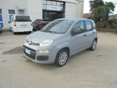 Used FIAT PANDA Petrol 2019 Ad 