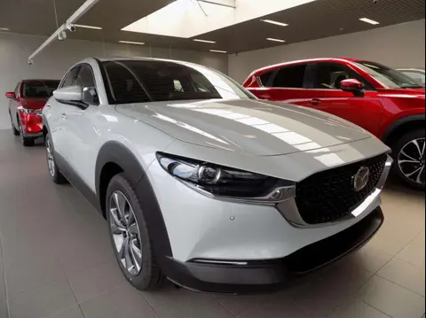 Annonce MAZDA CX-30 Essence 2024 d'occasion 