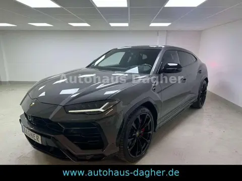 Used LAMBORGHINI URUS Petrol 2021 Ad 