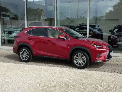 Annonce LEXUS NX Hybride 2021 d'occasion 