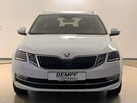 Annonce SKODA OCTAVIA  2019 d'occasion 