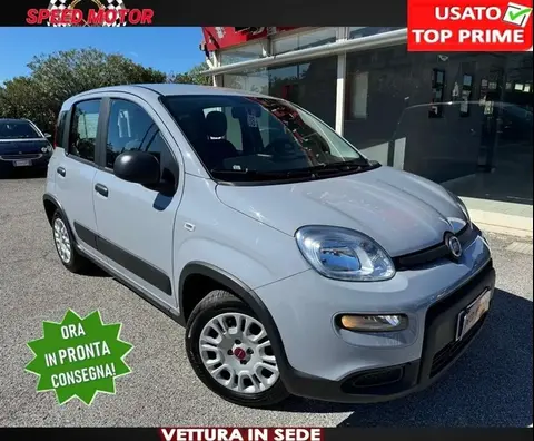 Used FIAT PANDA LPG 2023 Ad 