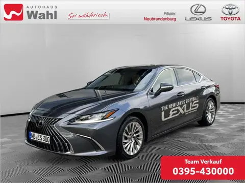 Used LEXUS ES Hybrid 2023 Ad 