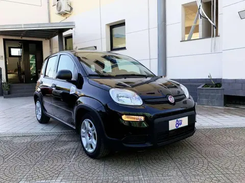 Annonce FIAT PANDA Hybride 2023 d'occasion 