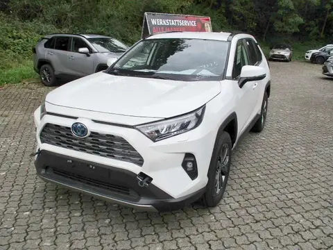 Annonce TOYOTA RAV4 Hybride 2023 d'occasion Allemagne