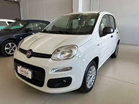 Used FIAT PANDA Petrol 2018 Ad 