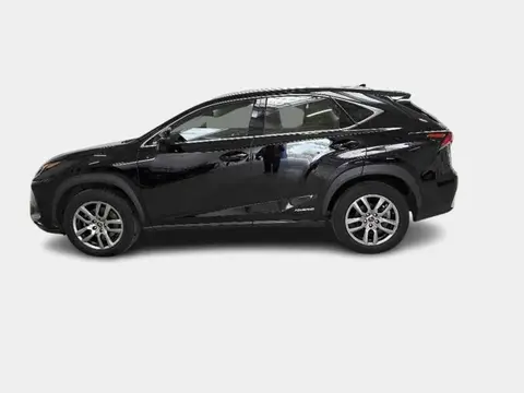 Annonce LEXUS NX Hybride 2020 d'occasion 