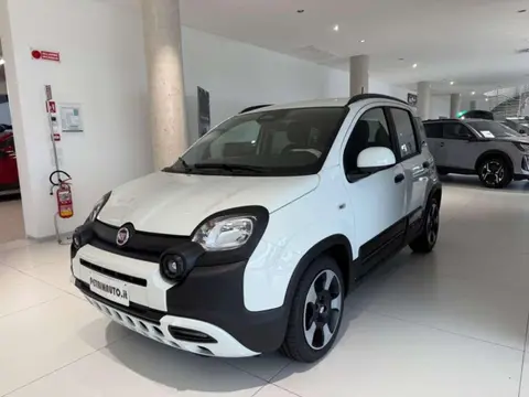 Used FIAT PANDA Hybrid 2024 Ad 