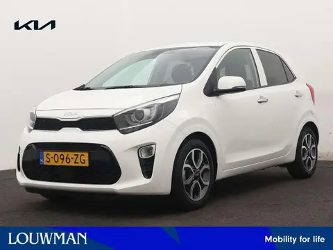 Used KIA PICANTO Petrol 2023 Ad 