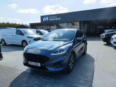 Annonce FORD KUGA Essence 2023 d'occasion 