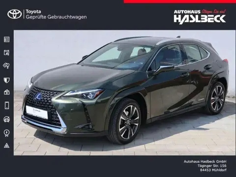 Annonce LEXUS UX Hybride 2022 d'occasion 