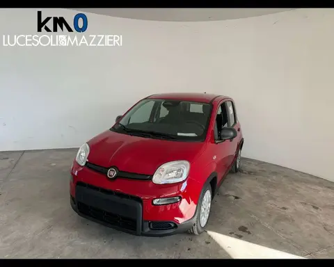 Annonce FIAT PANDA Diesel 2024 d'occasion 