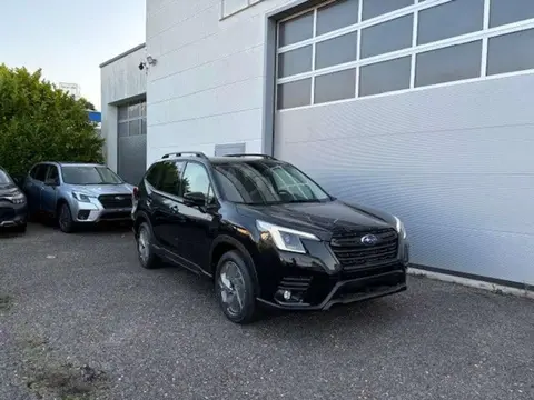 Used SUBARU FORESTER Petrol 2024 Ad 