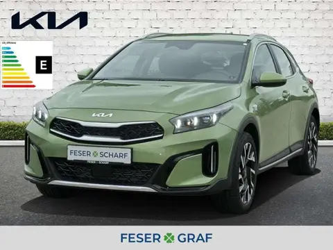 Used KIA XCEED Petrol 2024 Ad 