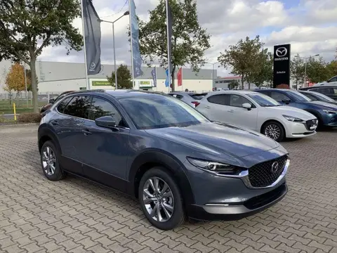 Used MAZDA CX-30 Hybrid 2024 Ad 