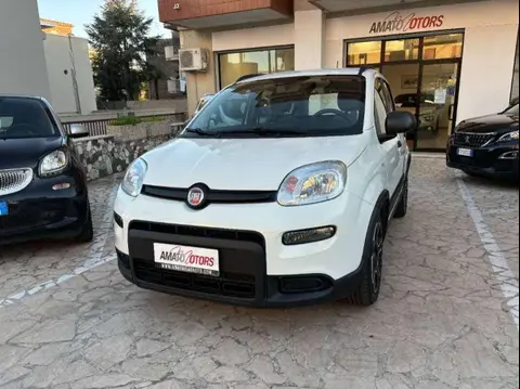 Used FIAT PANDA Hybrid 2021 Ad 