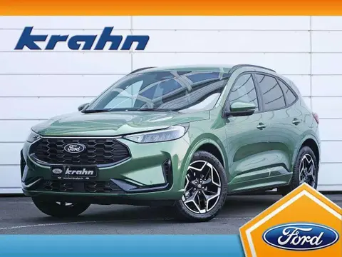 Annonce FORD KUGA Essence 2024 d'occasion 