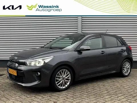 Used KIA RIO Petrol 2017 Ad 