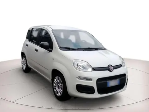 Annonce FIAT PANDA Hybride 2021 d'occasion 