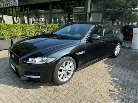 Used JAGUAR XF Diesel 2016 Ad 