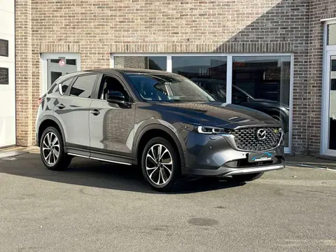 Used MAZDA CX-5 Petrol 2023 Ad 