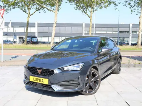 Used CUPRA LEON Hybrid 2021 Ad 