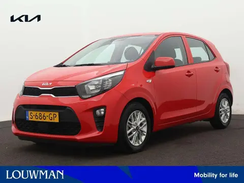 Annonce KIA PICANTO Essence 2023 d'occasion 