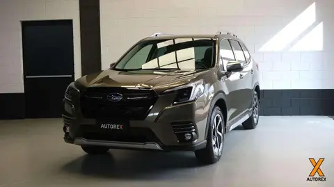 Annonce SUBARU FORESTER Hybride 2024 d'occasion 