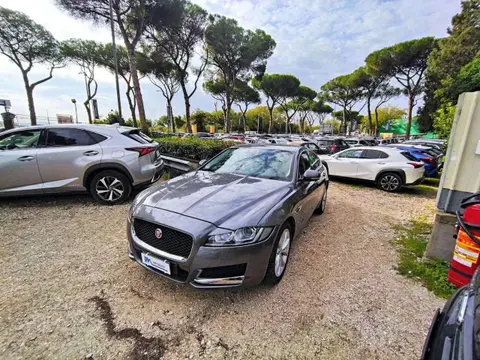 Used JAGUAR XF Diesel 2018 Ad 