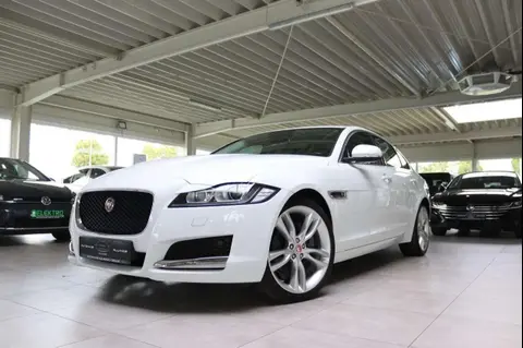 Annonce JAGUAR XF Diesel 2017 d'occasion 