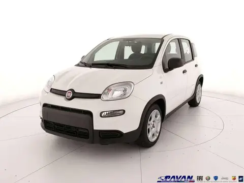 Used FIAT PANDA Hybrid 2024 Ad 