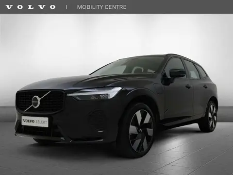 Used VOLVO XC60 Hybrid 2023 Ad 