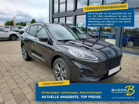 Used FORD KUGA Hybrid 2022 Ad 